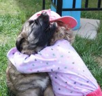 LCCpuppykissing4b