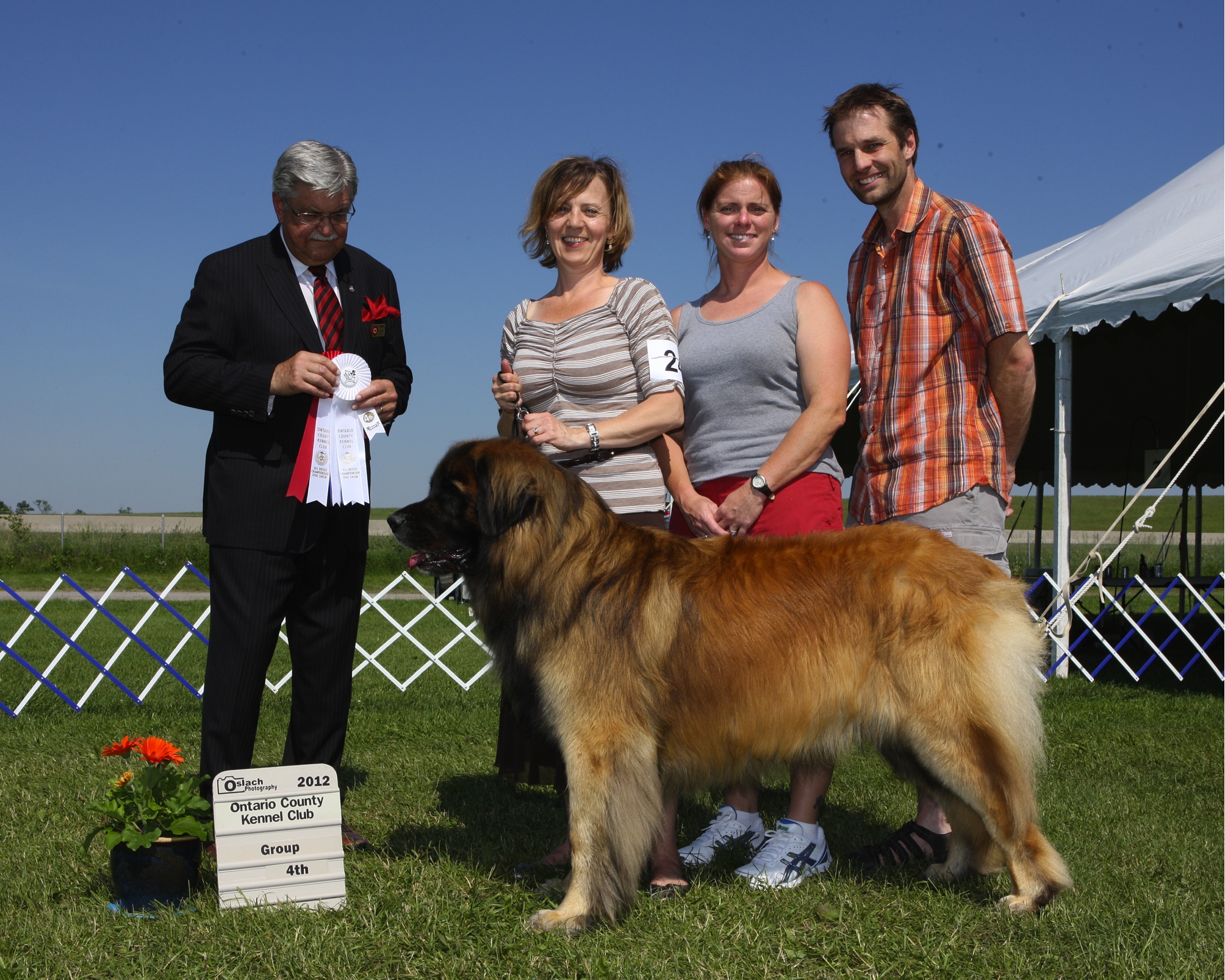 group4th — Leonberger Club of Canada